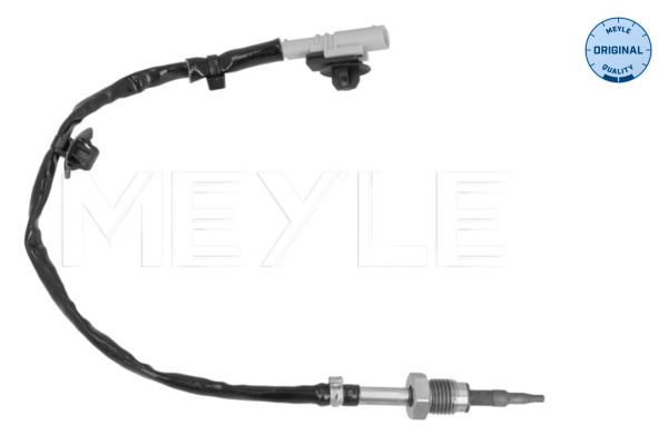 Sensor, Abgastemperatur