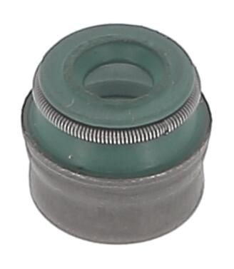 Payen PA5041 Dichtring, Ventilschaft