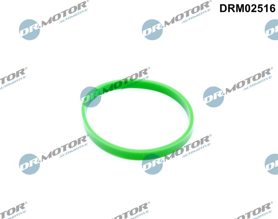Dr.Motor Automotive DRM02516 - Dichtung, Ansaugkr&uuml;mmer
