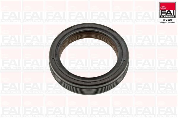 Wellendichtring, Kurbelwelle