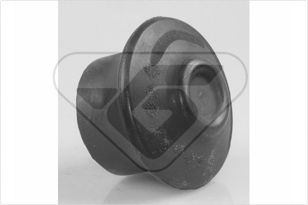 Halter, Motoraufhängung