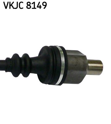 VKJC 8149_3.JPG