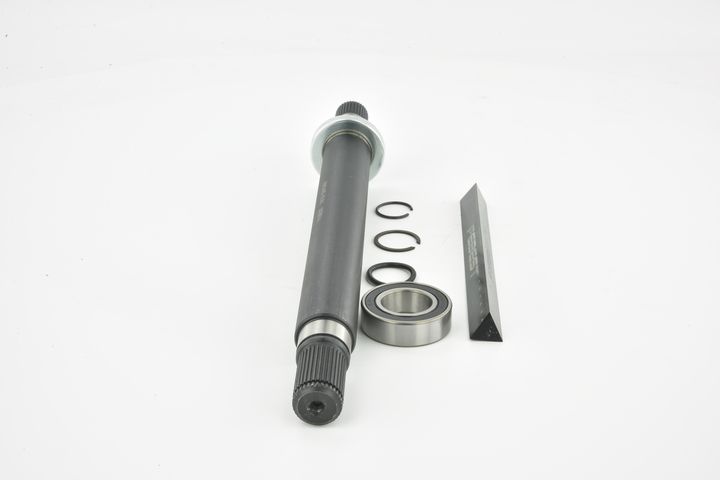 pusašis