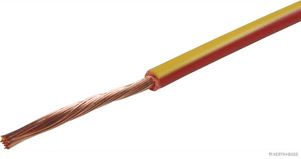 Elektroleitung