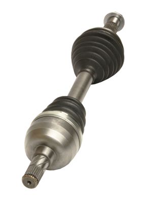 27-3557MG_2_LARGE.JPG