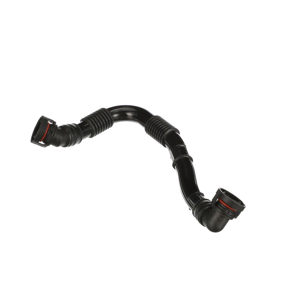 žarna, karterio alsuoklis