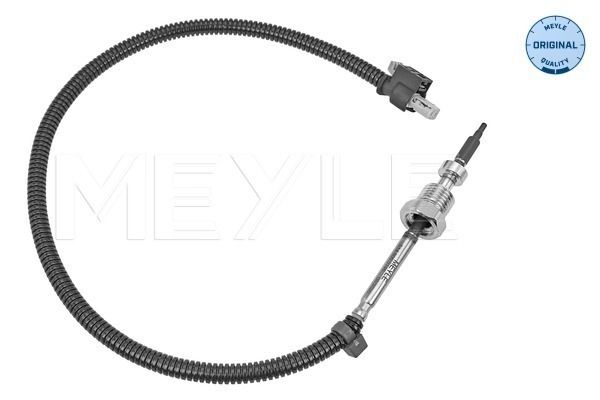 Sensor, Abgastemperatur