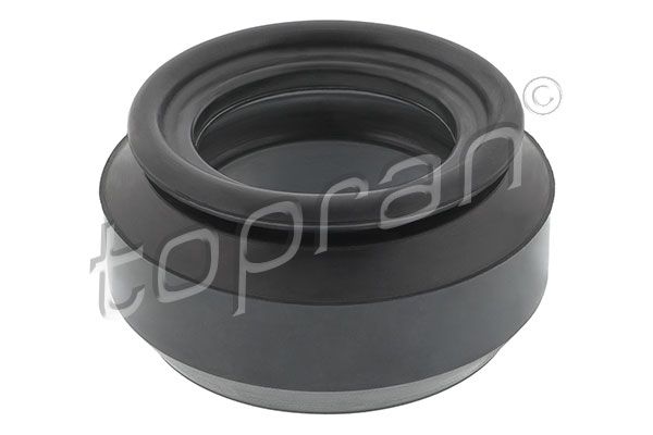 Federbeinst&uuml;tzlager