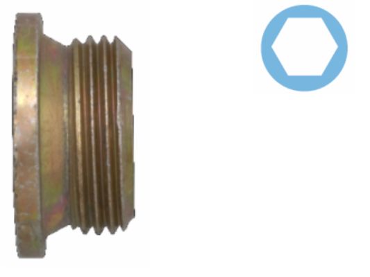 Screw Plug, oil sump 220133S