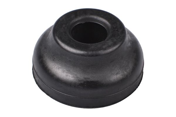 Federbeinst&uuml;tzlager