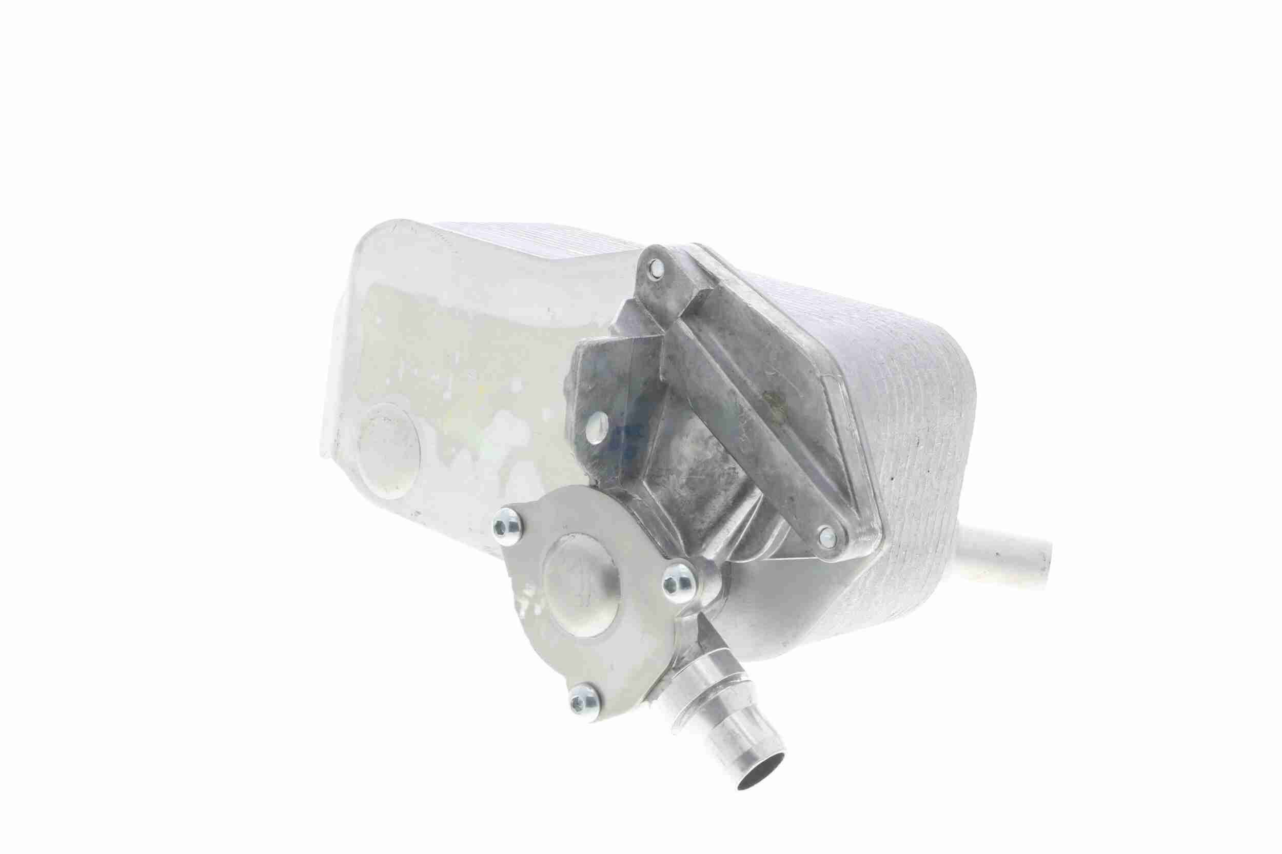 &Ouml;lk&uuml;hler, Motor&ouml;l