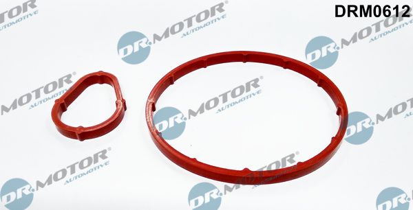 Dr.Motor Automotive DRM0612 - Dichtungssatz, Unterdruckpumpe