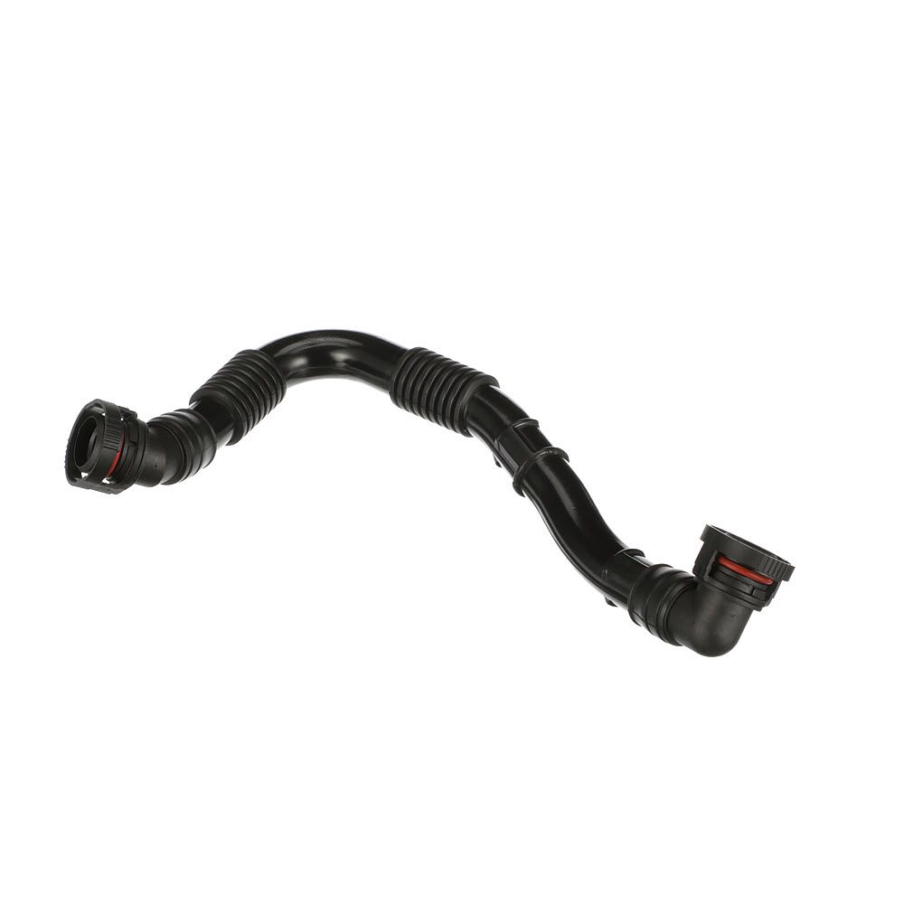 žarna, karterio alsuoklis