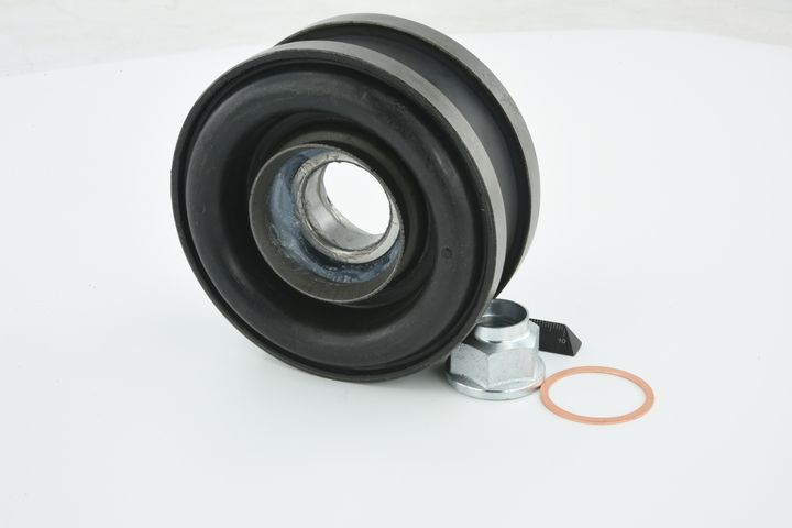 guolis, kardaninio veleno centrinis guolis