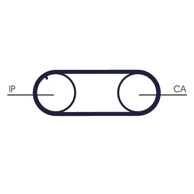 Zahnriemen Zahnriemen