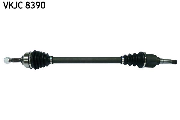 VKJC 8390.JPG