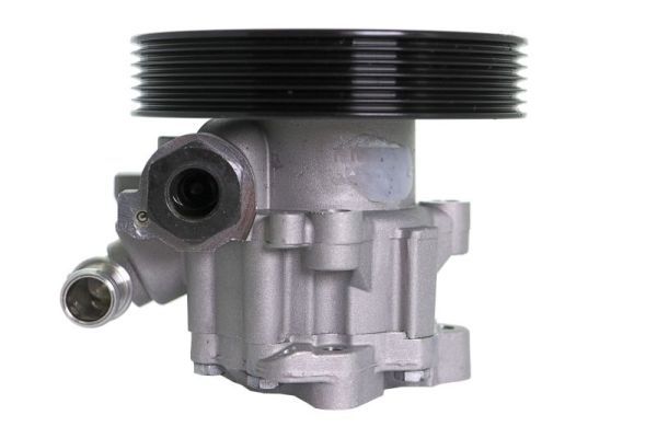Hydraulikpumpe, Lenkung