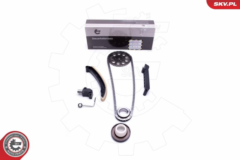 Timing Chain Kit 21SKV208