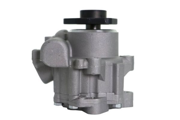 Hydraulikpumpe, Lenkung