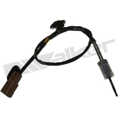 Sensor, de temperatura de gas de escape