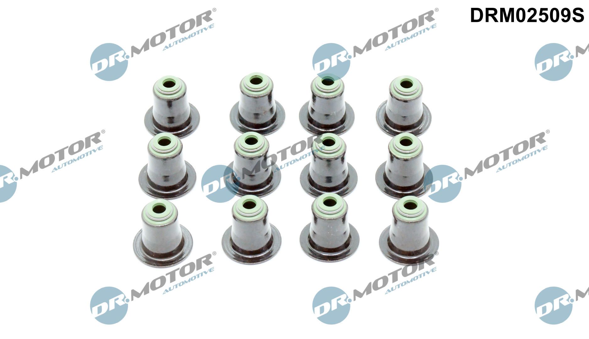 Dr.Motor Automotive DRM02509S - Dichtungssatz, Ventilschaft