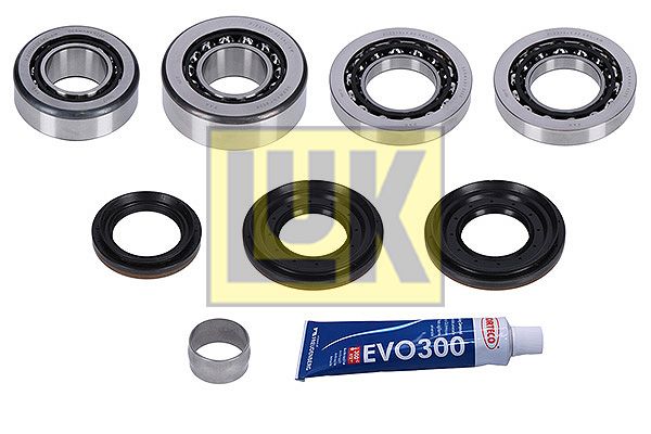 Kit riparazione, differenziale cambio automatico Schaeffler LuK 462 0216 10