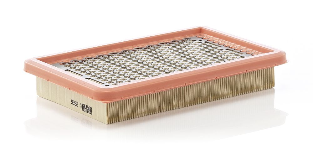 Air Filter C 2666