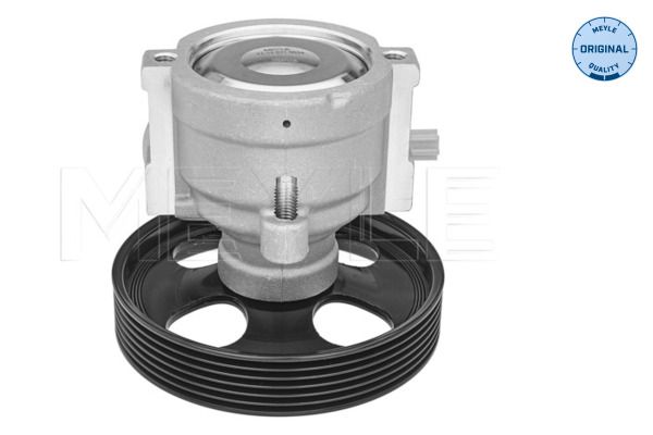 Hydraulikpumpe, Lenkung