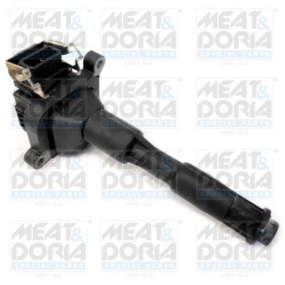 Ignition Coil 10454