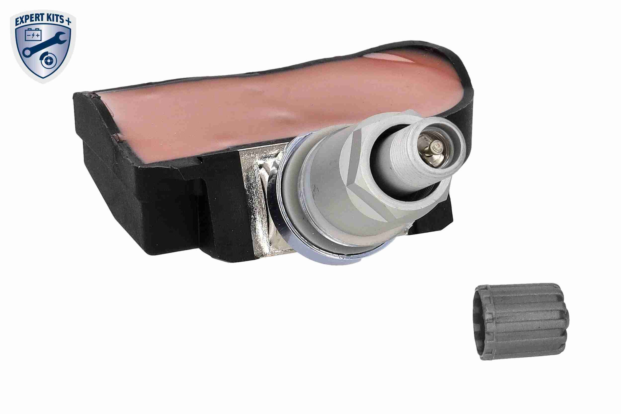 Radsensor, Reifendruck-Kontrollsystem