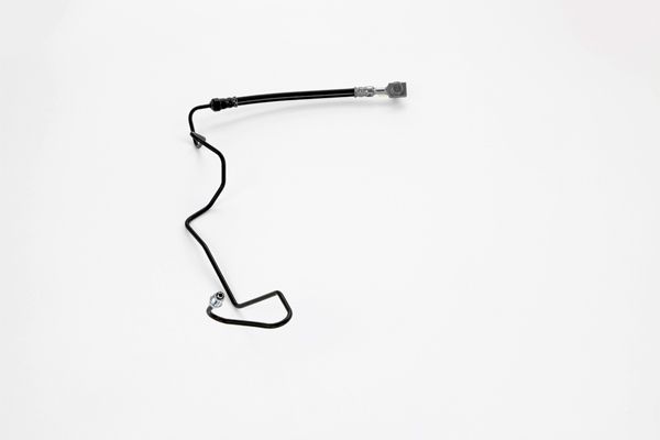 stabdžių žarnelė