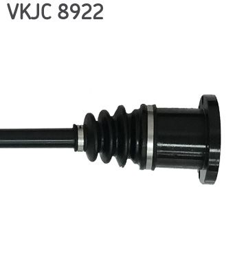 VKJC 8922_3.JPG