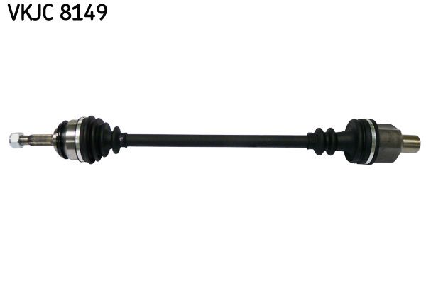 VKJC 8149.JPG