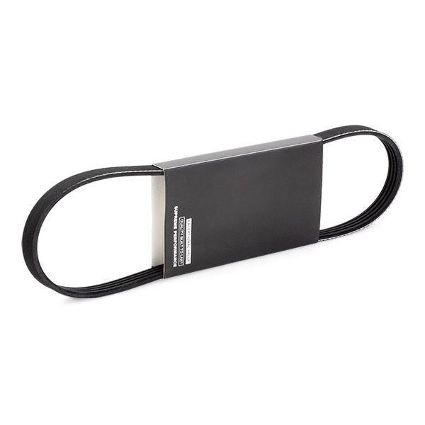 RIDEX 305P0479 V-ribbed Belt