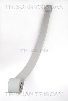 TRISCAN 8765 23019 Spring Pack