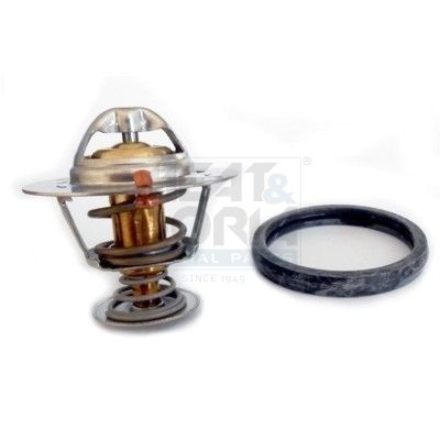 Thermostat, Kühlmittel