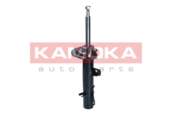 Shock Absorber 2001083