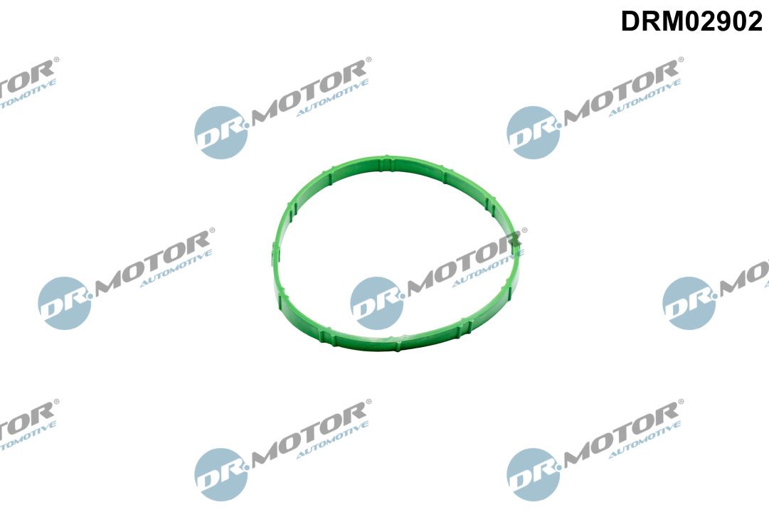 Dr.Motor Automotive DRM02902 - Dichtung, Drosselklappenstutzen