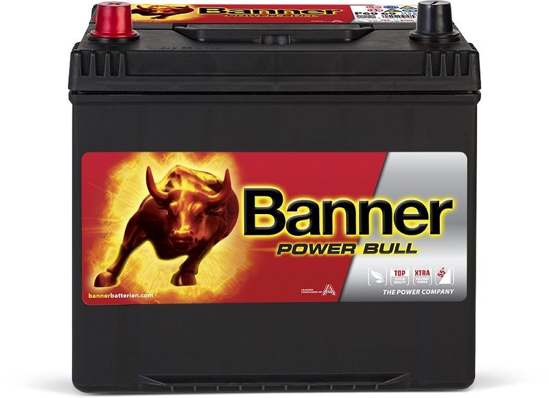 Starterbatterie