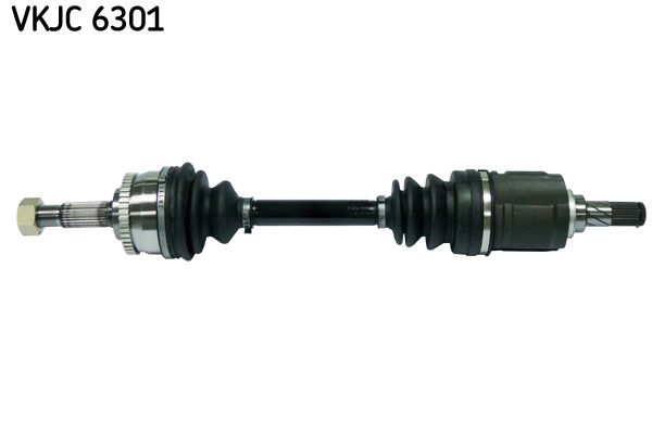 VKJC 6301.JPG