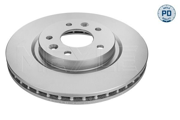 Brake Disc 36-15 521 0074/PD