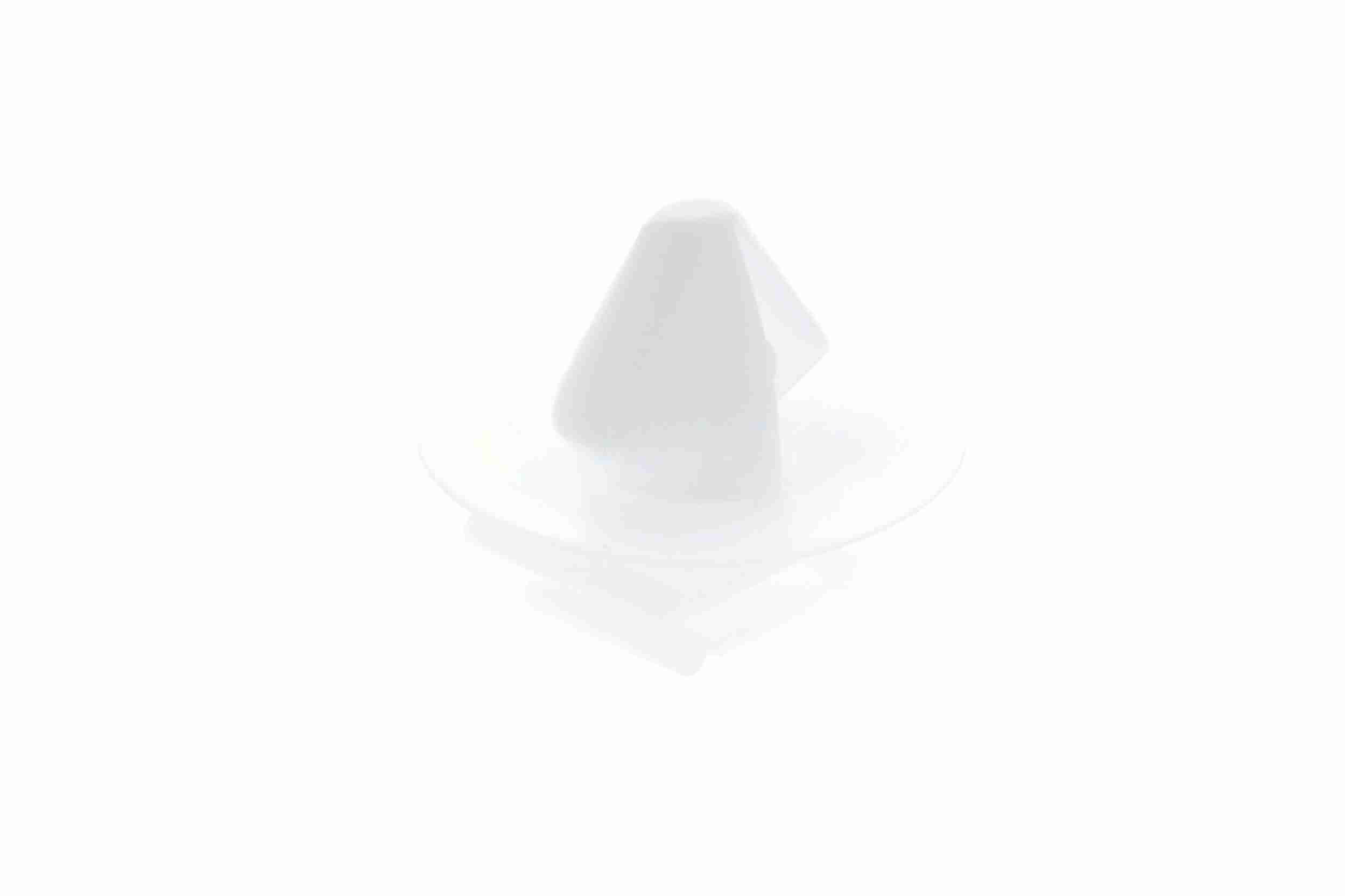 Halteclip, Türverkleidung Halteclip, Türverkleidung