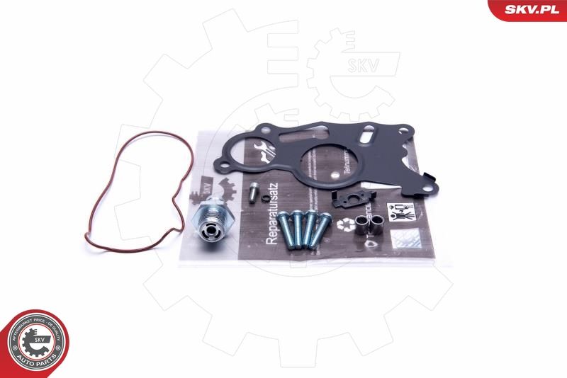 Reparatursatz, Unterdruckpumpe (Bremsanlage)