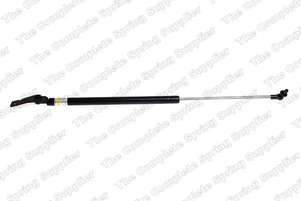 Gasfeder, Koffer-/Laderaum