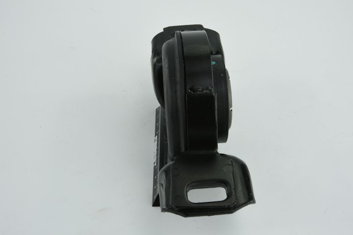 guolis, kardaninio veleno centrinis guolis