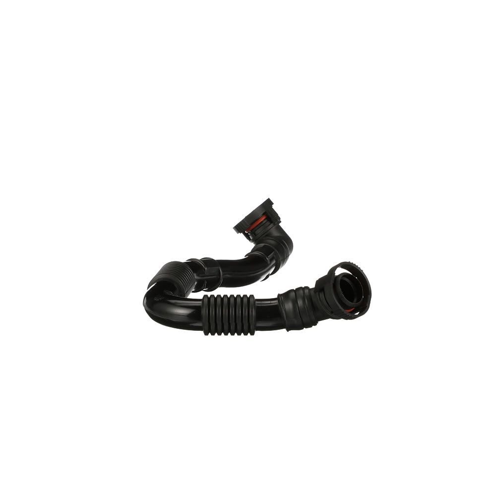 žarna, karterio alsuoklis