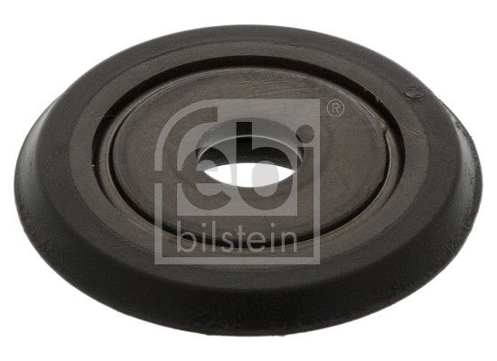 Wälzlager, Federbeinstützlager