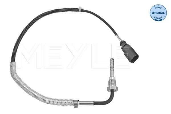 Sensor, Abgastemperatur