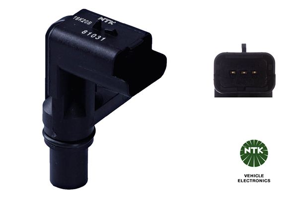 NTK 81031 - Sensor, Nockenwellenposition