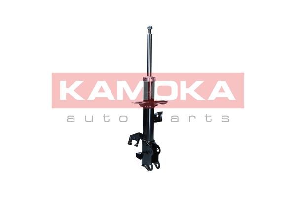 Shock Absorber 2001137